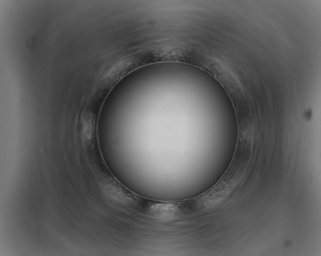 X0000098050133200803281503