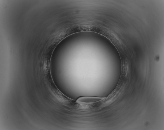 X0000098050134200803281503