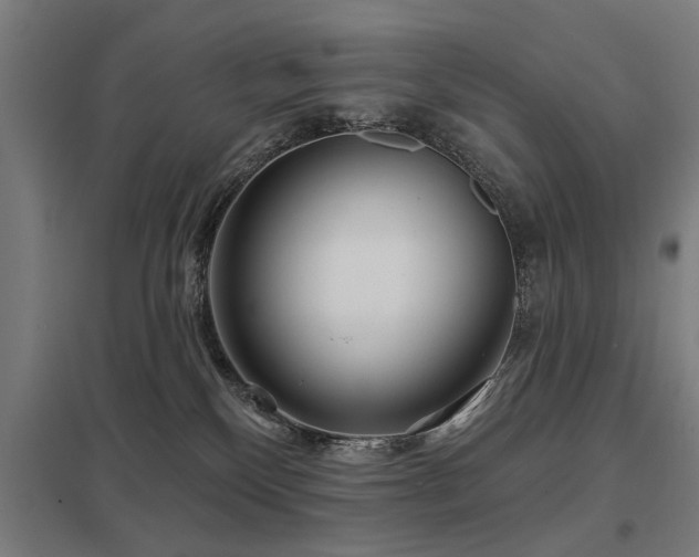 X0000098050136200803281503