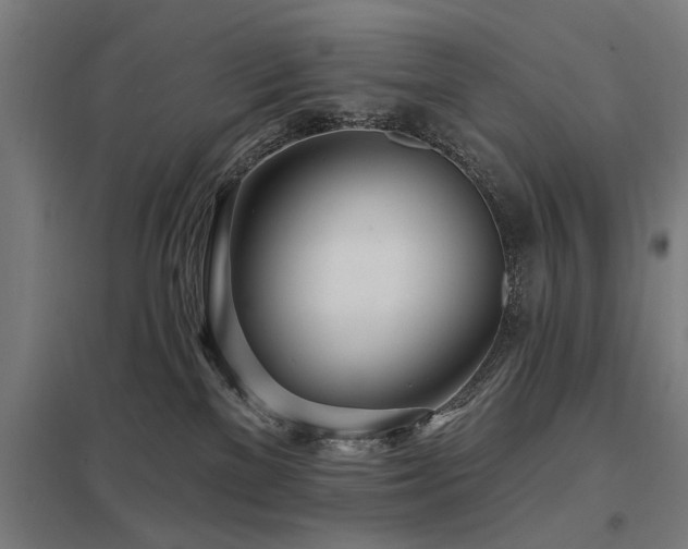 X0000098050137200803281503