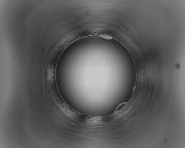 X0000098050138200803281503