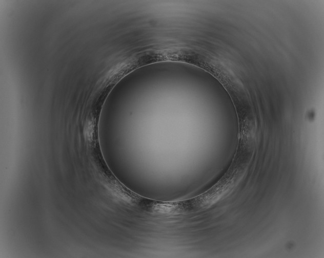 X0000098050139200803281503