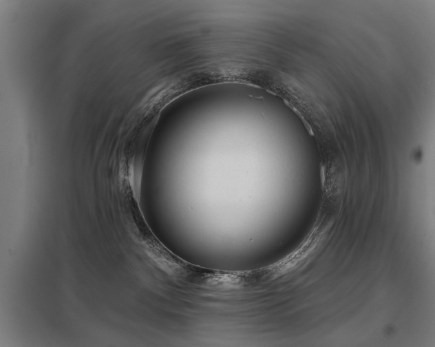 X0000098050140200803281503