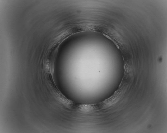 X0000098050141200803281503