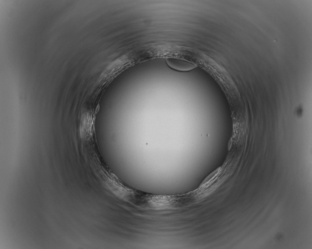 X0000098050142200803281503