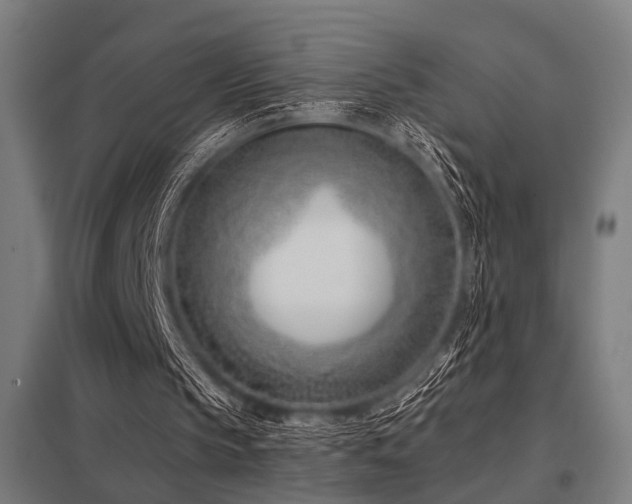 X0000098050145200803281503