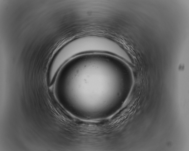 X0000098050146200803281503