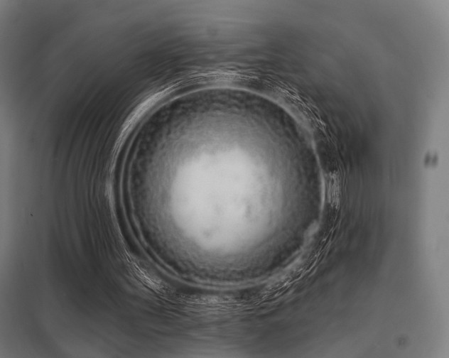 X0000098050147200803281503