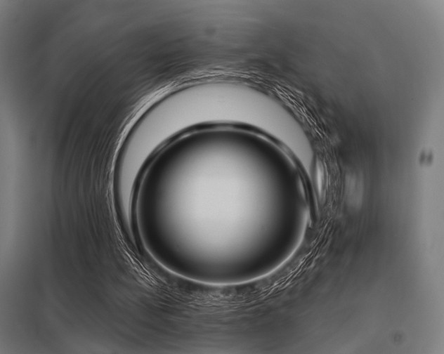 X0000098050148200803281503