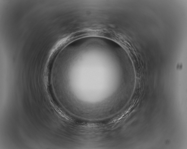 X0000098050149200803281503