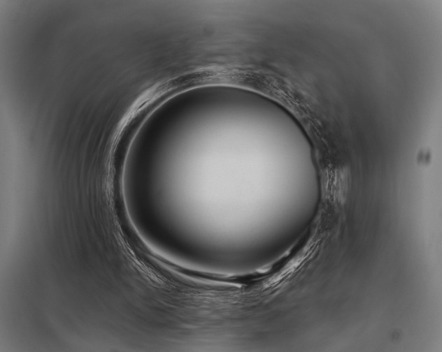 X0000098050150200803281503