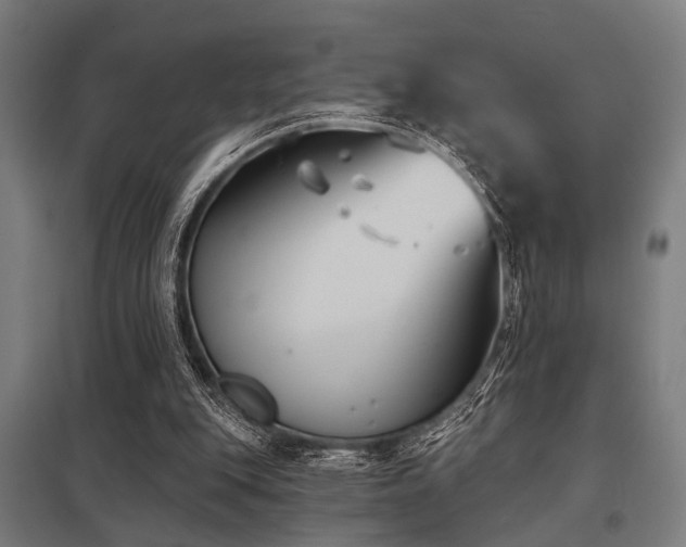 X0000098050151200803281503