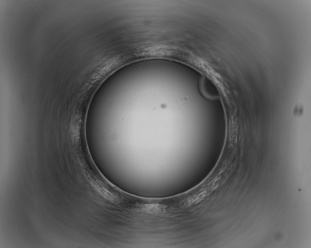 X0000098050153200803281503