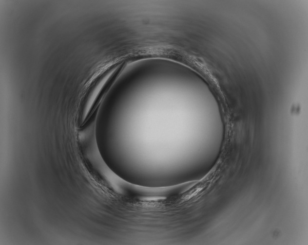 X0000098050154200803281503