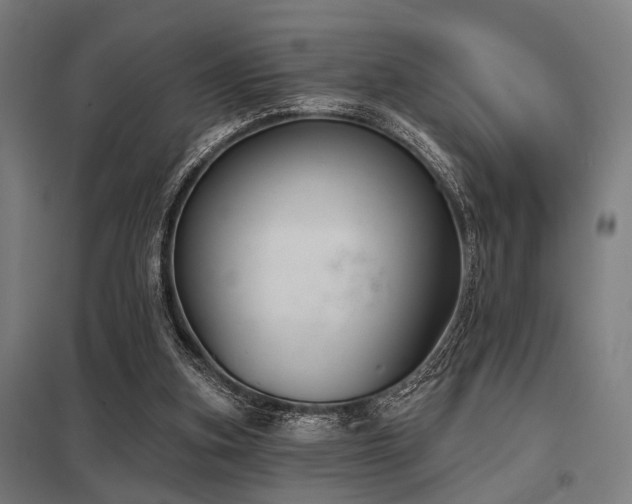 X0000098050155200803281503