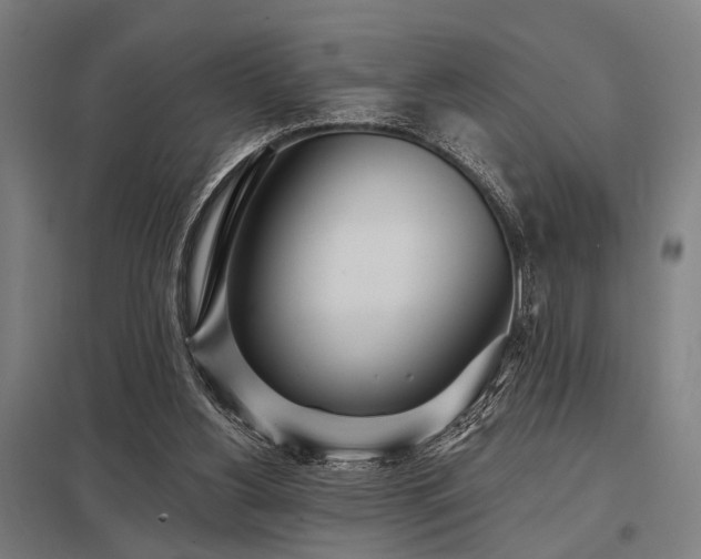 X0000098050156200803281503