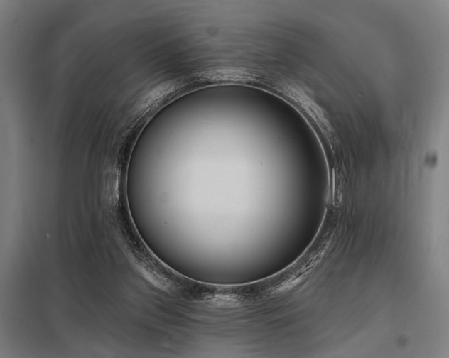 X0000098050157200803281503