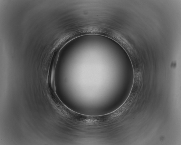 X0000098050158200803281503