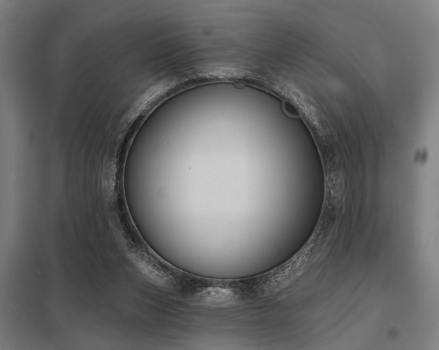 X0000098050159200803281503