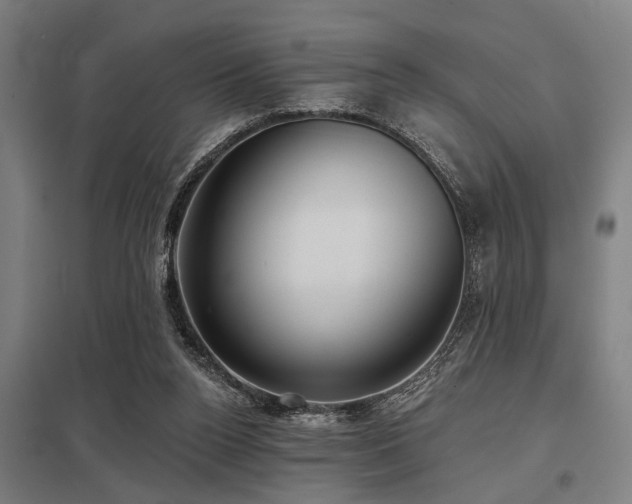 X0000098050160200803281503