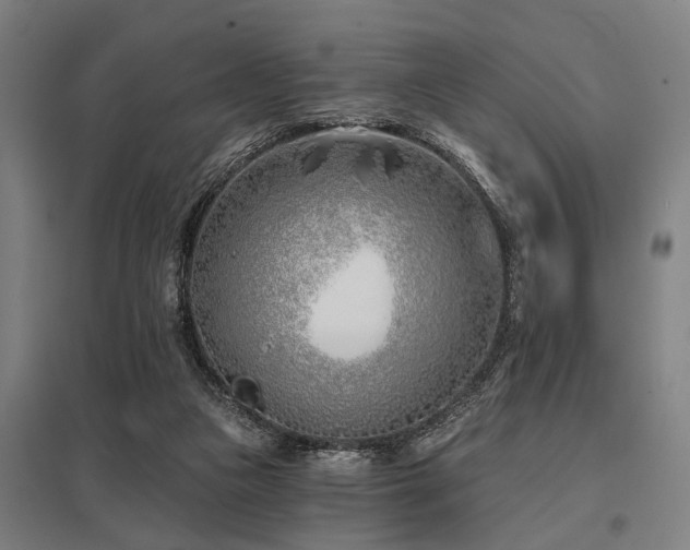 X0000098050161200803281503