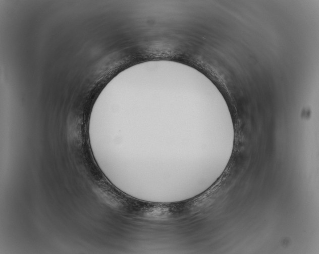 X0000098050162200803281503