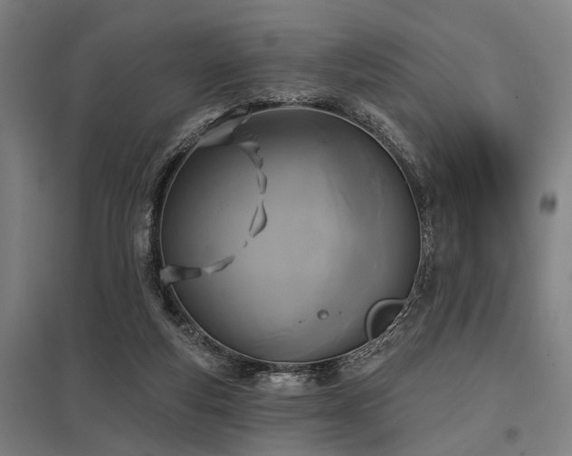 X0000098050163200803281503