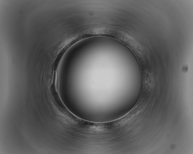 X0000098050164200803281503