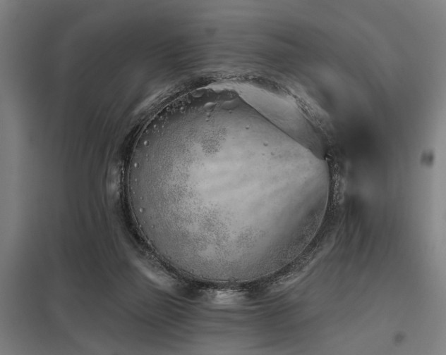 X0000098050165200803281503