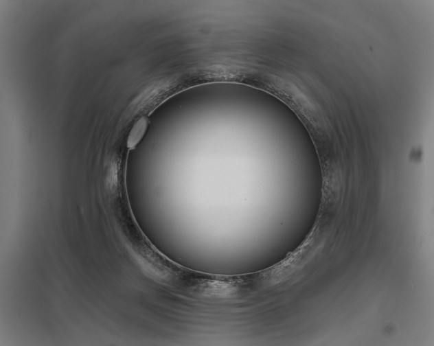 X0000098050166200803281503