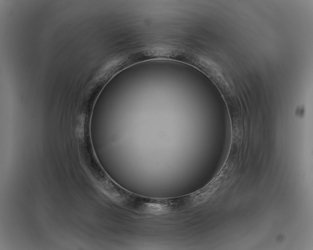 X0000098050167200803281503