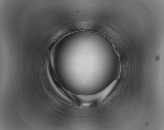 X0000098050168200803281503