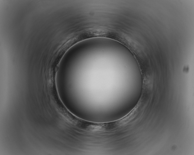 X0000098050170200803281503