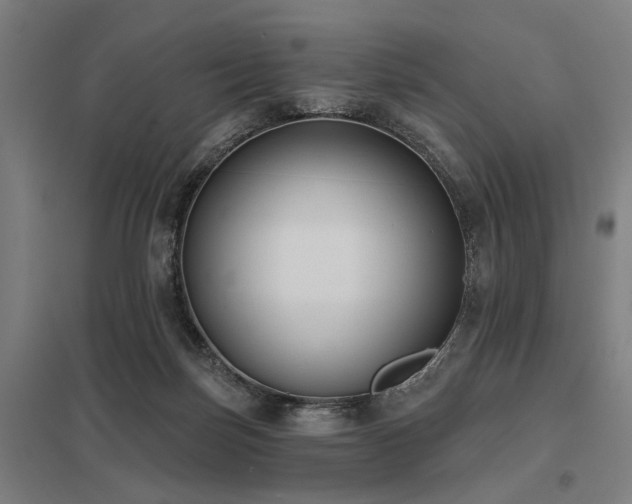 X0000098050171200803281503