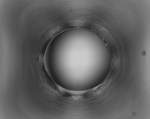 X0000098050172200803281503