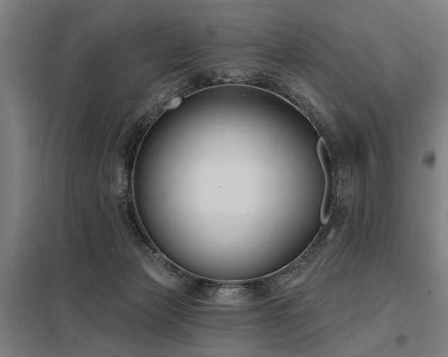 X0000098050173200803281503