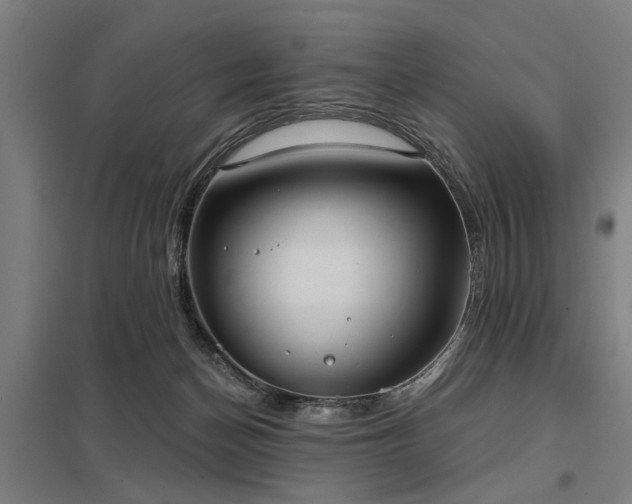 X0000098050174200803281503