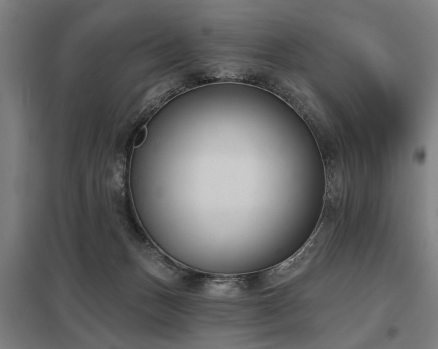 X0000098050175200803281503