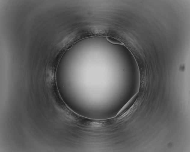 X0000098050176200803281503