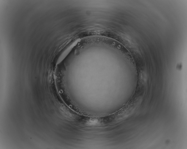 X0000098050177200803281503