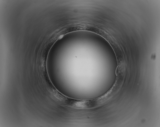 X0000098050178200803281503