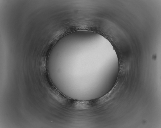 X0000098050179200803281503