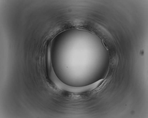 X0000098050180200803281503