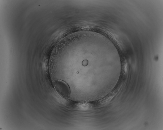 X0000098050181200803281503