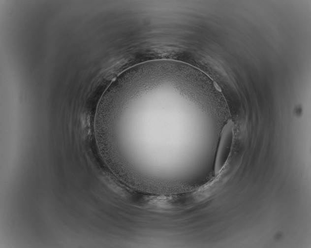 X0000098050182200803281503