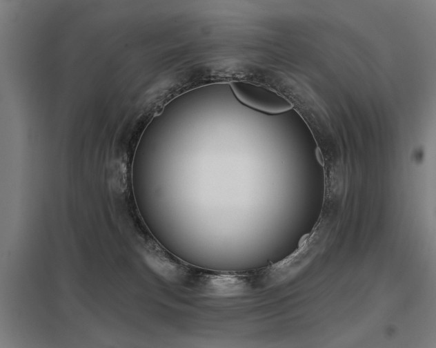 X0000098050183200803281503