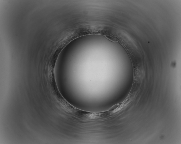 X0000098050184200803281503