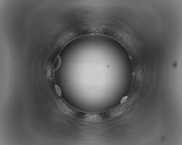 X0000098050185200803281503