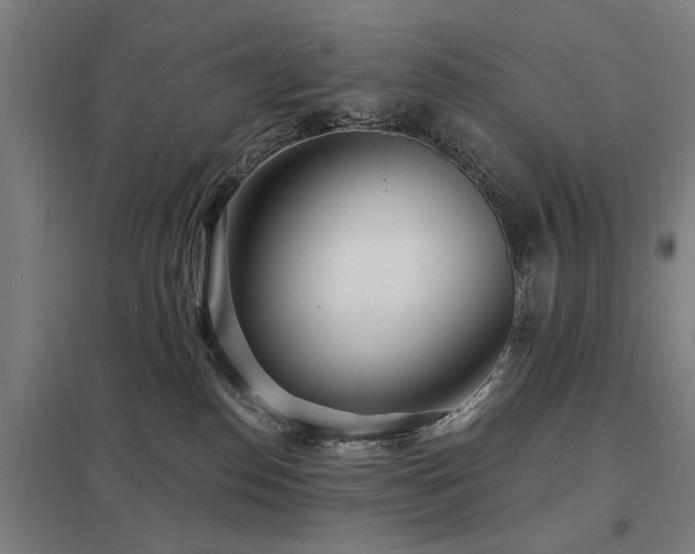 X0000098050186200803281503