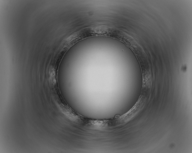 X0000098050187200803281503